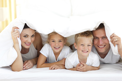 bed bugs